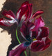 19th Century French Still Life Study Of A Tulip Simon SAINT-JEAN (1808-1860)