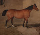 Large 19th Century English Brown Hunter Horse Stable Portrait Equestrian Farm