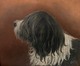 19th Century English portrait of "Brutus" An Old English Sheepdog - Signed 1899