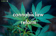 The Hempstore supports cannabis law reform