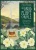 The Druid Plant Oracle (Cards Deck and Book Pack)