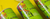 Good Herb Soda - Inzone Natural Sparkling Terpene Drink
