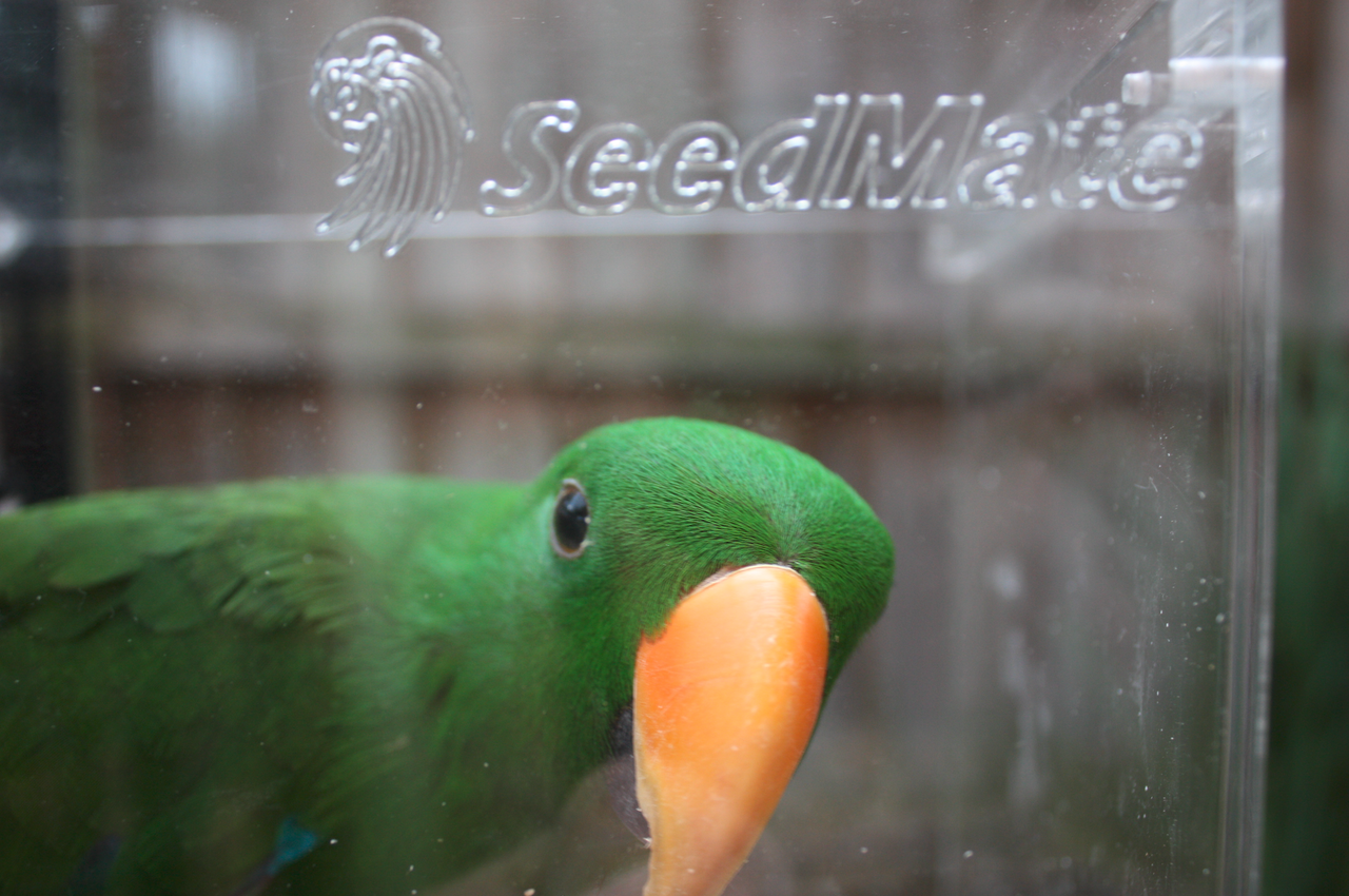 SeedMate NOMESS Bird Feeders. LARGE