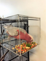 LARGE SeedMate Acrylic No-Mess Bird Feeder