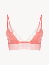 Bralette in hibiscus embroidered tulle_0