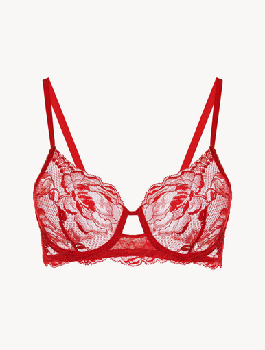 Red Embroidered Lace Underwired +Dd Bra