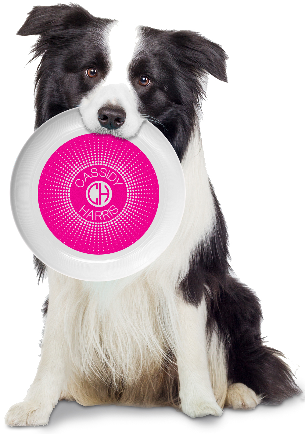 Frisbees