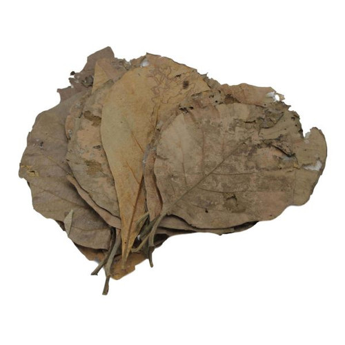 Betta Choice Teak Leaves x10