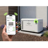 Briggs & Stratton 040794 22kW PowerProtect+ Generator with Dual 200A SE Transfer Switch