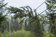 Winter Storms Cause 340,000 Outages In California And Northeast