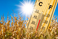 Record Heat Wave Strikes Central Plain States 