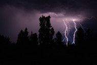 ​Severe Weather Conditions Have Once Again Underscored the Vulnerability of California's Power Infrastructure