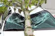 Devastation In Wake Of Claudette