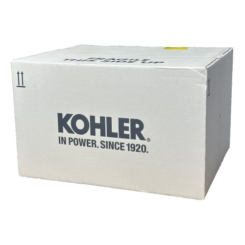 Kohler 292937 250V 20A Time Delay Fuse