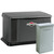 Briggs & Stratton 40555 17kW Generator with 200A SE Transfer Switch