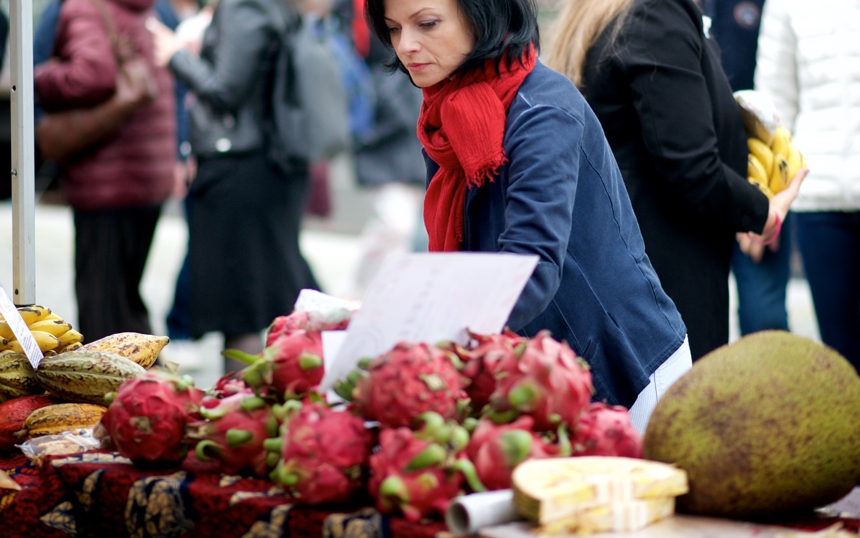 Alergie nebo potravinová nesnášenlivost-by-adela-sedlakova-from-sea-food-intolerance-testing.jpg