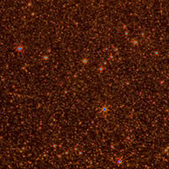 Brown Glitter (per lb.)- SHIPS FROM TORGINOL