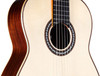 Cordoba C12 CD Acoustic Nylon String Modern Classical Guitar