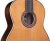 Cordoba C12 CD Acoustic Nylon String Modern Classical Guitar