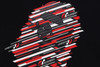 Picture No.3 of BAPE [BAPE X GRAN TURISMO] APE HEAD TEE #2 1J73-110-927