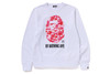 Picture No.9 of BAPE ABC CAMO BY BATHING APE ORGANIC COTTON CREWNECK SWEATSHIRT 1K20-113-007