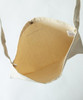 Picture No.11 of NUMBER (N)INE U.S. (N)INE CANVAS MINI SHOULDER BAG S24NA002
