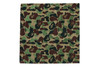 Picture No.1 of BAPE ABC CAMO RUG 1L30-192-009