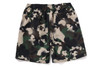 Picture No.10 of BAPE MAP CAMO REGULAR FIT BEACH SHORTS 1L30-153-002