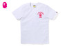 Picture No.1 of BAPE COLLEGE ONE POINT TEE 1L30-210-060