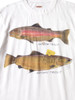 Picture No.6 of KAPITAL 20/- Jersey Crew T-shirt (2 Trout Peckish Rainbow Ypt) K2508SC003