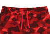 Picture No.12 of BAPE COLOR CAMO SWEAT PANTS 1L80-152-005