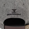Picture No.5 of DESCENDANT LETTERED 6PANEL 252EMDS-HT05