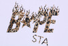 Picture No.3 of BAPE WILD LEOPARD PATTERN BAPE STA LOGO RELAXED FIT TEE 1L80-110-305