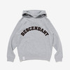 Picture No.3 of DESCENDANT SPYHOP HOODY 252ATDS-HPK01S