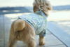 Picture No.6 of minä perhonen symphonydog wear AES8001WS