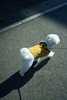 Picture No.6 of minä perhonen tambourinedog wear AES6001WS