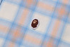 Picture No.6 of BAPE ONE POINT OMBRE CHECK LIGHT FLANNEL LS SHIRT 1M30-131-308