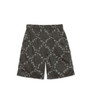 Picture No.1 of THE NORTH FACE PURPLE LABEL THE NORTH FACE Purple Label FFFES Graphic Field Shorts N26SD049 8568