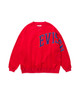 Picture No.1 of Evisen Skateboards COLLEGE SWEAT - RED 15413312454970