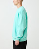 Picture No.10 of Evisen Skateboards VOMIT HORSE SWEAT - GREY 15413360558394