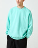 Picture No.9 of Evisen Skateboards VOMIT HORSE SWEAT - MINT 15413362819386