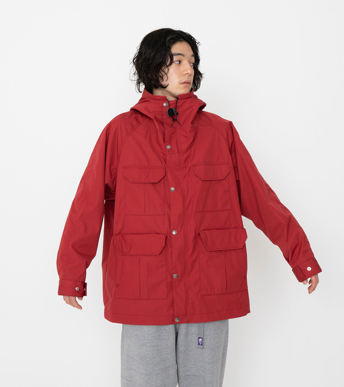 THE NORTH FACE PURPLE LABEL COAT 65/35 Big Mountain Parka Online