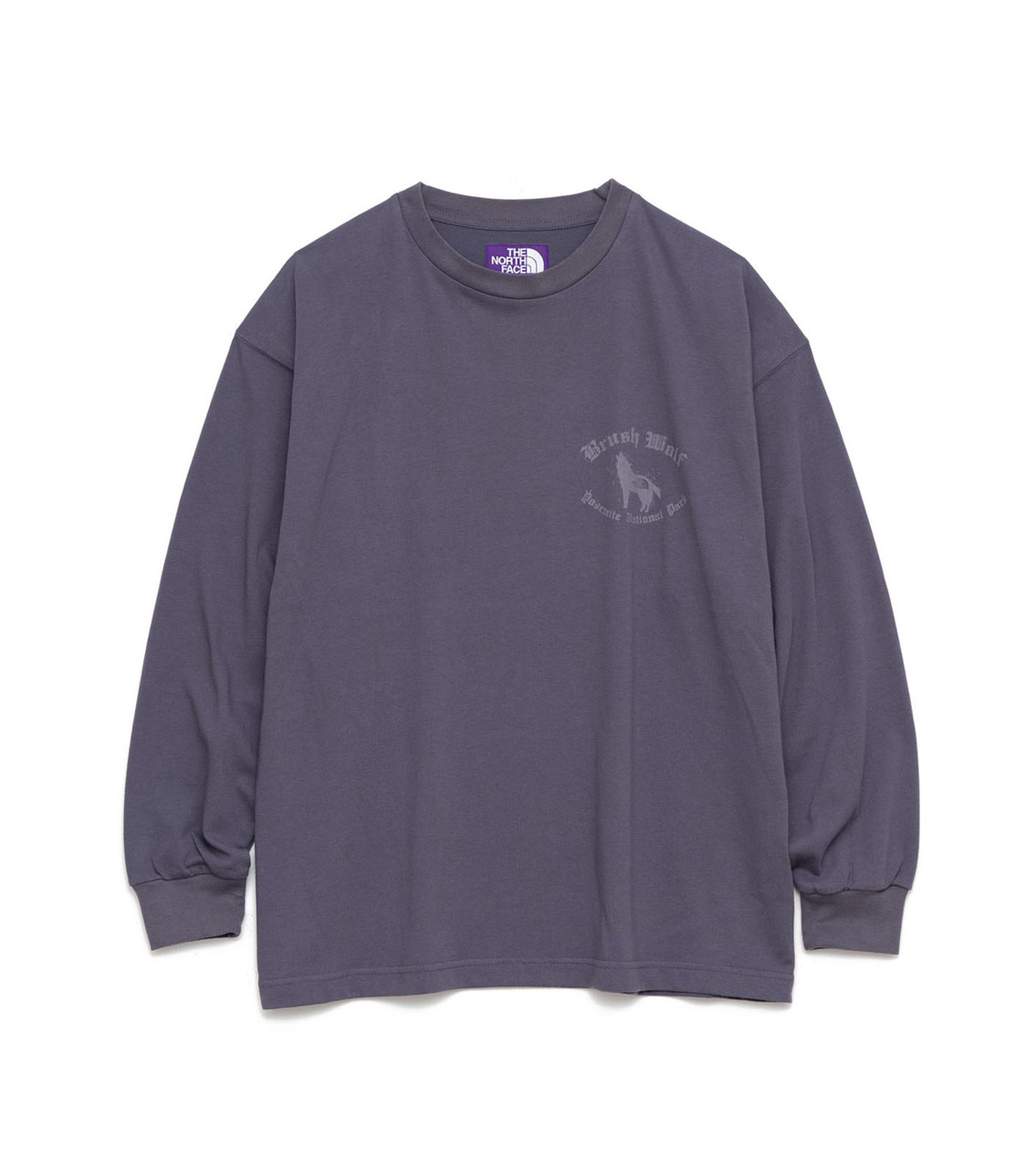 THE NORTH FACE PURPLE LABEL T-SHIRT L/S Graphic Tee Online Shop to