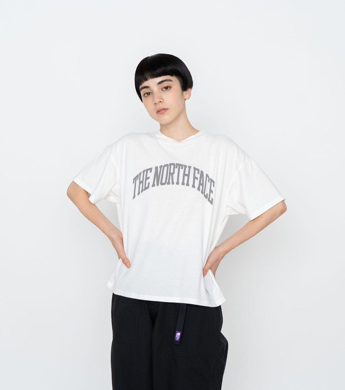 THE NORTH FACE PURPLE LABEL T-SHIRT H/S Graphic Tee Online Shop to