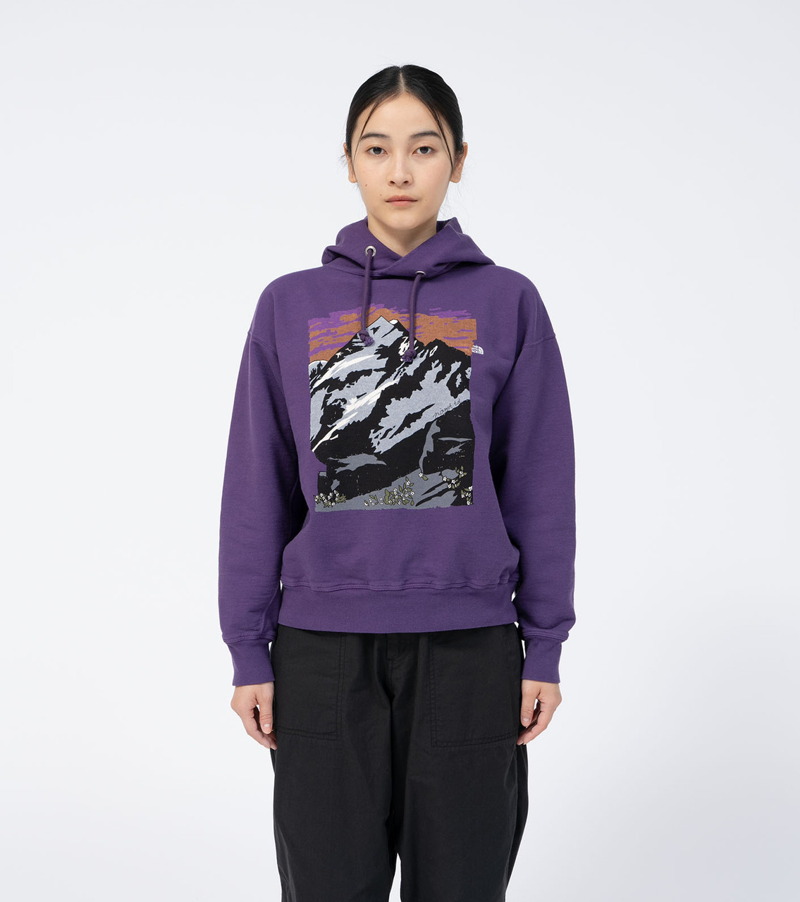 THE NORTH FACE Purple Label SWEAT 10oz Mountain Graphic Hoodie