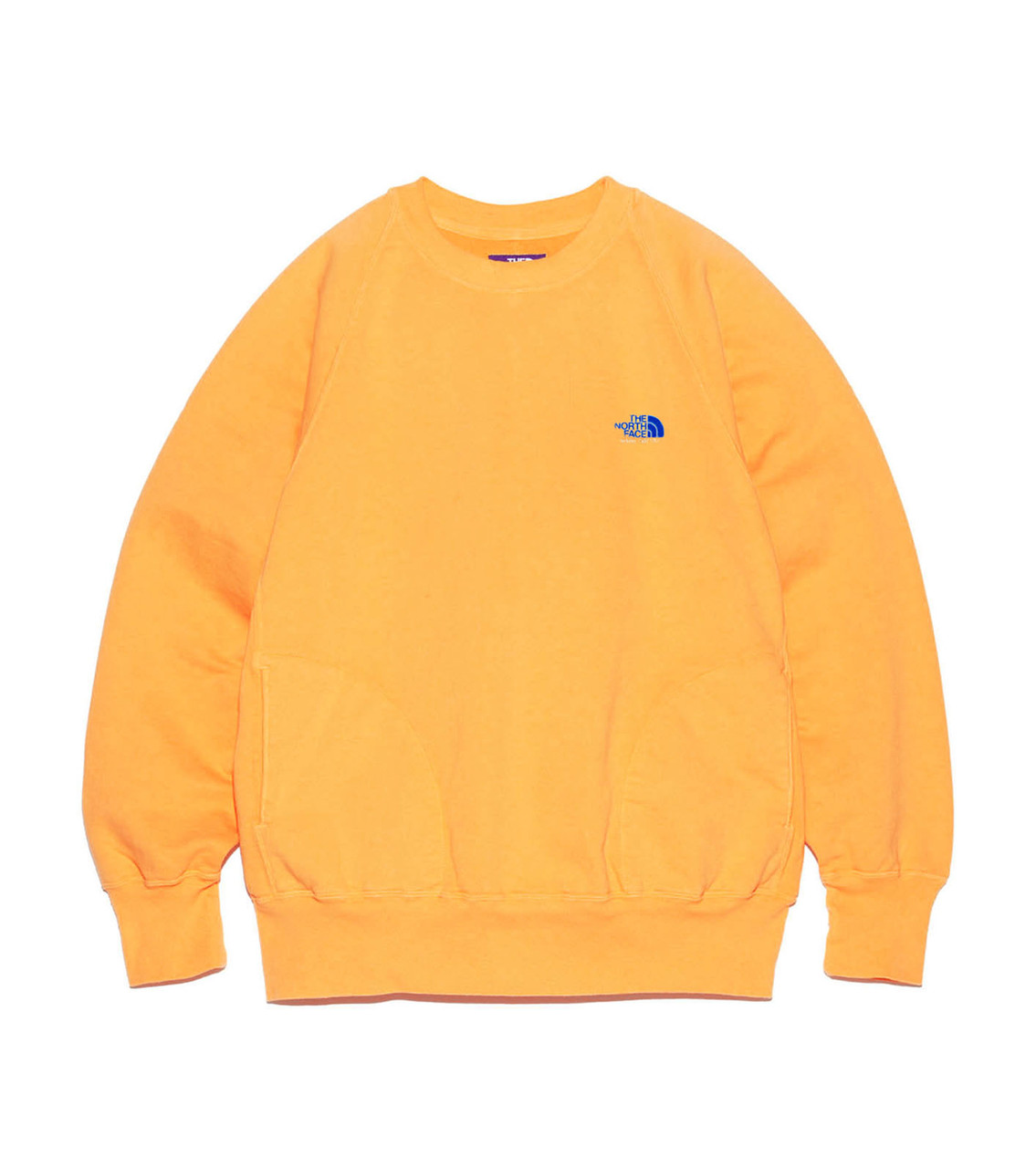 NTFPレーベル11oz Crewneck Graphic Sweatshirt THE NORTH FACE Purple Label SWEAT 11oz Crewneck Graphic