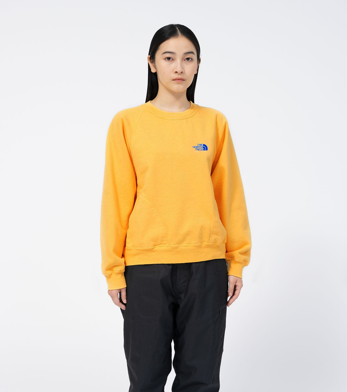 NTFPレーベル11oz Crewneck Graphic Sweatshirt THE NORTH FACE Purple Label SWEAT 11oz Crewneck Graphic