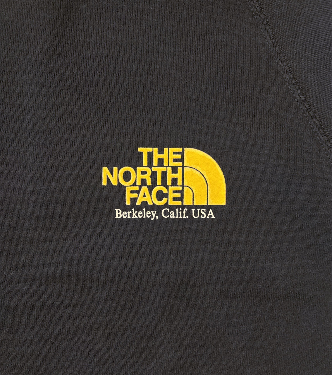 THE NORTH FACE Purple Label SWEAT 11oz Crewneck Graphic Sweatshirt