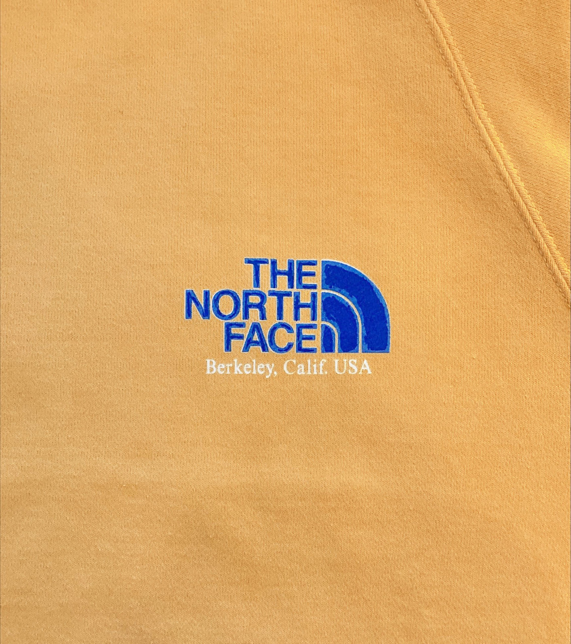 THE NORTH FACE Purple Label SWEAT 11oz Crewneck Graphic Sweatshirt