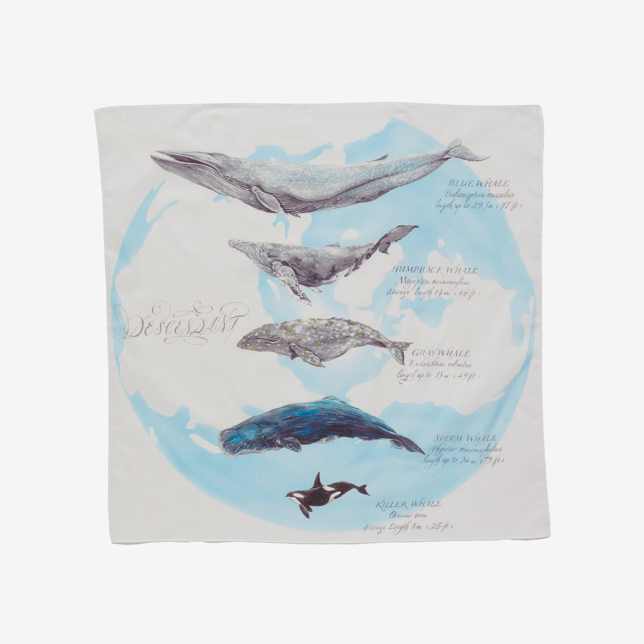 DESCENDANT ACCESSORY SEAFARERS BANDANA Online Shop to Worldwide